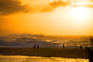Fototapeta premium Sunset on Beach -Hawaii