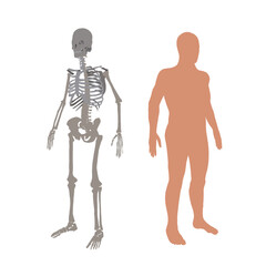 Body and Human Framework