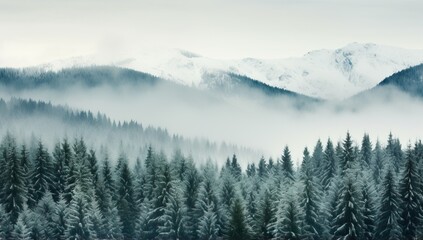 Snowy Mountain Landscape with Foggy Trees