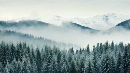 Naklejka premium Snowy Mountain Landscape with Foggy Trees