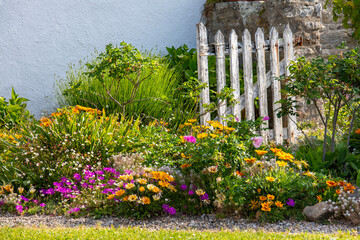 Charmant petit jardin fleuri devant une vieille maison en pierre dans un village de France.