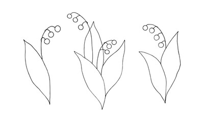 Set of elements forest herb  lily of the valley with berries. Black outline. Isolated objects on a white background.Vector illustration.