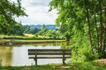 Relaxing nature view of a park bench with trees, grass, and a lake in the background. A forest and field landscape in the countryside. Natural outdoor setting perfect for a summer day outside