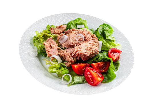 tuna salad fresh meal tuna canned eating cooking appetizer food snack on the table copy space food background rustic top view