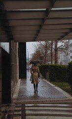 Person walking along a city street on a rainy day with an open umbrella