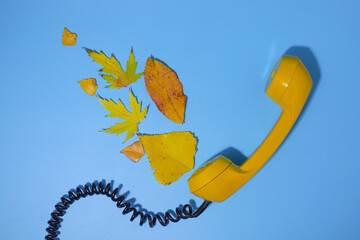 yellow telephone handset on a blue background. autumn yellow leaves of different shapes and sizes...