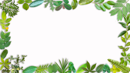 frame made of various type green leaves, suitable for design go green concept, PNG