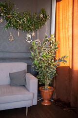 Christmas living room with sofa, Christmas tree with toys. Interior decoration for the holiday. present.