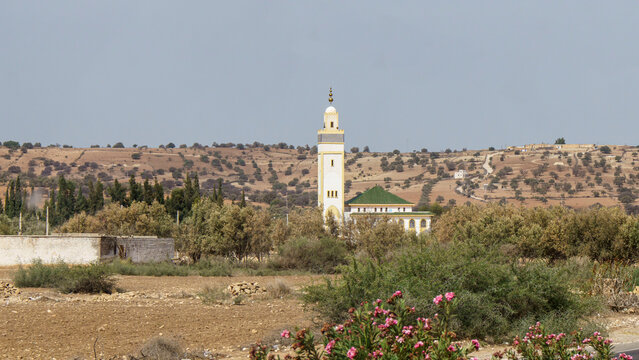 Road trip from Marakesh to Essaouira