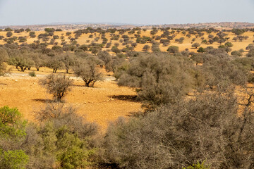 Road trip from Marakesh to Essaouira