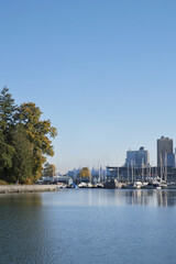 The skyline of Vancouver as seen from Stanley Park during a fall season in Vancouver, British Columbia, Canada