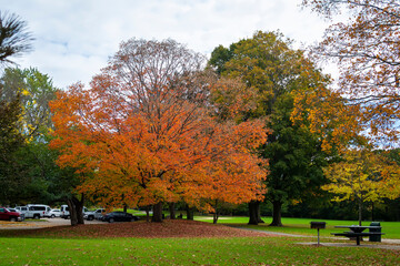 Arsenal community park in an autumn day, Watertown, MA, USA