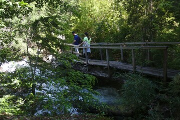 People cross a wood bridge in Huerquehue national park in Chile  in November 2019