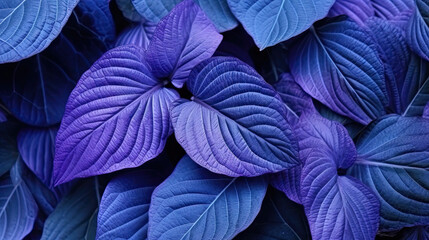  a close up of purple leaves with green leaves on them.  generative ai