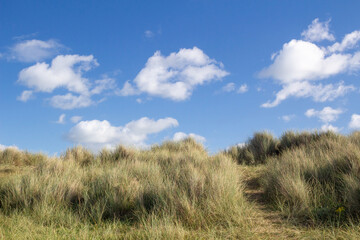 Obraz premium Footpath leading to Walberswick Beach in Suffolk, England, United Kingdom