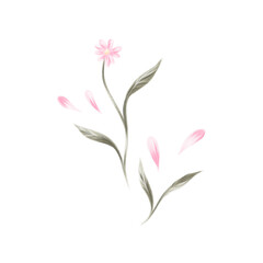 Beautiful and elegant pink flower isolated in a transparent background. 