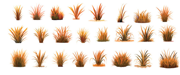 Pampas grass collection. Set of wedding bouquets, frame and borders. Vector cortaderia in boho style isolated on white. Trendy design elements for invitations, postcards, social media, stickers.