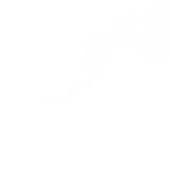 smoke on transparent white background