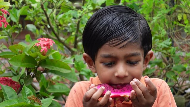 A boy is eating dragon fruit sitting in the garden. Asian little boy eating fresh pink dragon fruit slice. Concept of children eating healthy fresh fruits. 4k video closeup views.