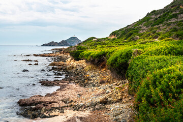 Rocky Coastline. Sanguinaire islands and Parata Tower in Corsica. Near Ajaccio in the Mediterranean Sea, Torra Ghjinuvesa di a Parata, Corsica, France