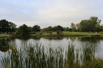 The lake in the countryside on a sunny day.