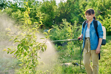 Woman gardener with spray backpack sprays pear tree in garden