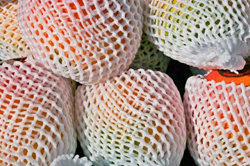 Mangos eingepackt zum Verkauf