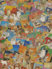 Fototapeta premium cat wallpaper, collage 