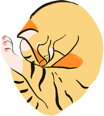 Illustration of a cat sleeping 