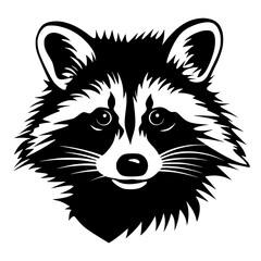 raccoon vector