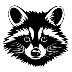 raccoon vector