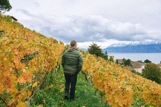 Back view image of man walking in fall vineyards, active and healthy concept lifestyle