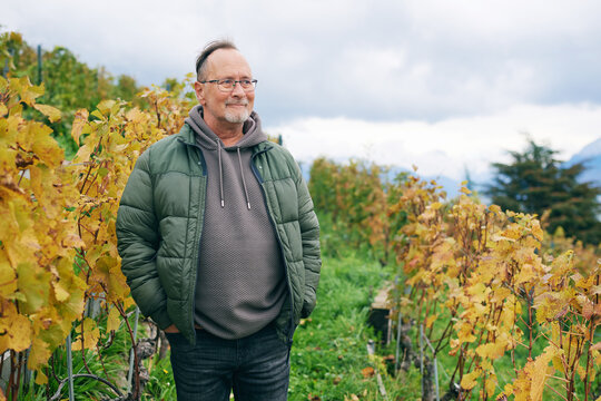 Outdoor Portrait Of Middle Age 55 - 60 Year Old Man Enjoing Nice Autumn Day In Vineyards, Healthy And Active Lifestyle