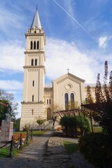 Fototapeta na wymiar Saint Joseph's Roman Catholic Church (Catedrala Sfântul Iosif) from Sighișoara, Mureș, Transylvania, Romania