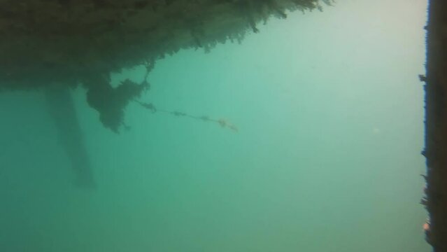 Underwater view of Algae Overgrown on the lower part of the hull of a Sailboat 4K Video