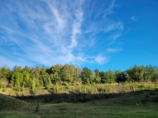 Obraz premium Dzika natura i naturalna przyroda w Belgii.