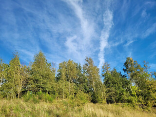 Dzika natura i naturalna przyroda w Belgii.