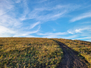 Dzika natura i naturalna przyroda w Belgii.