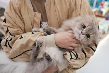 Closeup shot of a fluffy cute cat in a person's arms