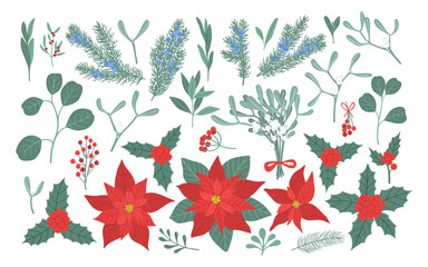 Winter flowers, berries and leaves set. Vector hand drawn Christmas floral elements with leaf, flower, fir, branches, berry. Design for invitations, greeting card, textile, fabric, posters