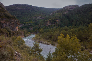 Fototapeta na wymiar Mountain landscape with mighty river. Horizontal shot