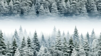  a group of trees covered in snow next to a forest filled with lots of tall pine trees on a snowy day.  generative ai