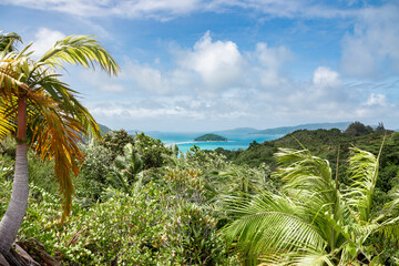 Fototapeta na wymiar Seychelles - View from the top of Fond Ferdinand