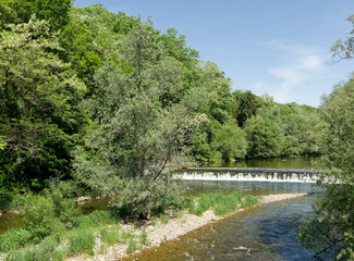 Der Fluss Wiese zwischen Lörrach im Südschwarzwald und Basel im Schweiz. Dichte Vegetation, Naturraum, Hecken und Feldgehölzen