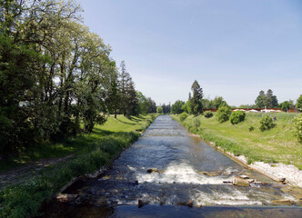 Wiese (Fluss) zwischen Lörrach und Lange Erlen. Durch die Revitalisierung der Ufer und des Flusses entsteht ein idealer Lebensraum für Wildtiere und ein Erholungsgebiet für Wanderer
