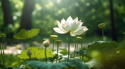 Beautiful lotus flower forest natural forest wallpaper image AI generated art