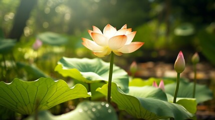 Beautiful lotus flower forest natural forest photography image AI generated art