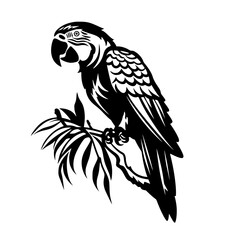 parrot vector