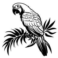 parrot vector - obrazy, fototapety, plakaty