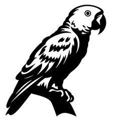 parrot vector